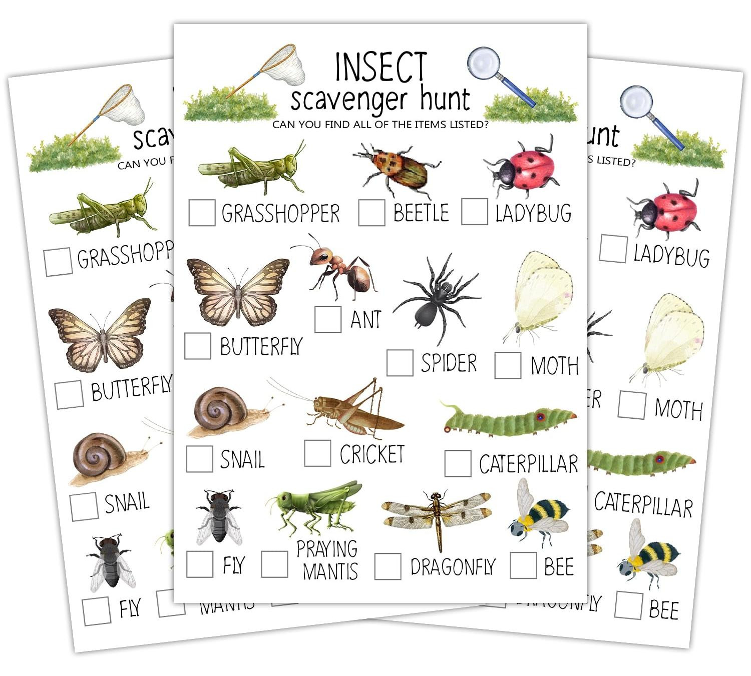 ltazhyi Insecten-speurtochtkaarten, set van 30 stuks, natuurlijke speurtocht spel