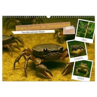 Reges Leben im Naturweiher - Tiere über und unter Wasser (Wandkalender 2027 DIN A3 quer), CALVENDO Monatskalender