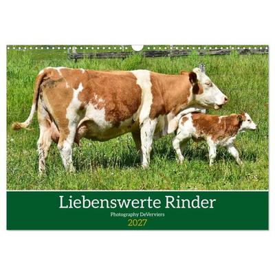 Liebenswerte Rinder (Wandkalender 2027 DIN A3 quer), CALVENDO Monatskalender