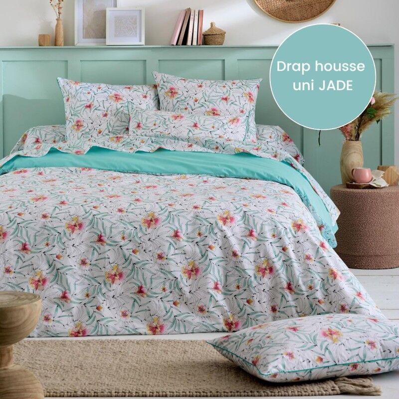 Drap housse percale Tradilinge uni JADE (Roxane Jade) (Couleur :  Jade)