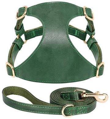 Uplift Picks Soft Genuine Leather Dog Harness And Leash Set For Small Medium Pets green s