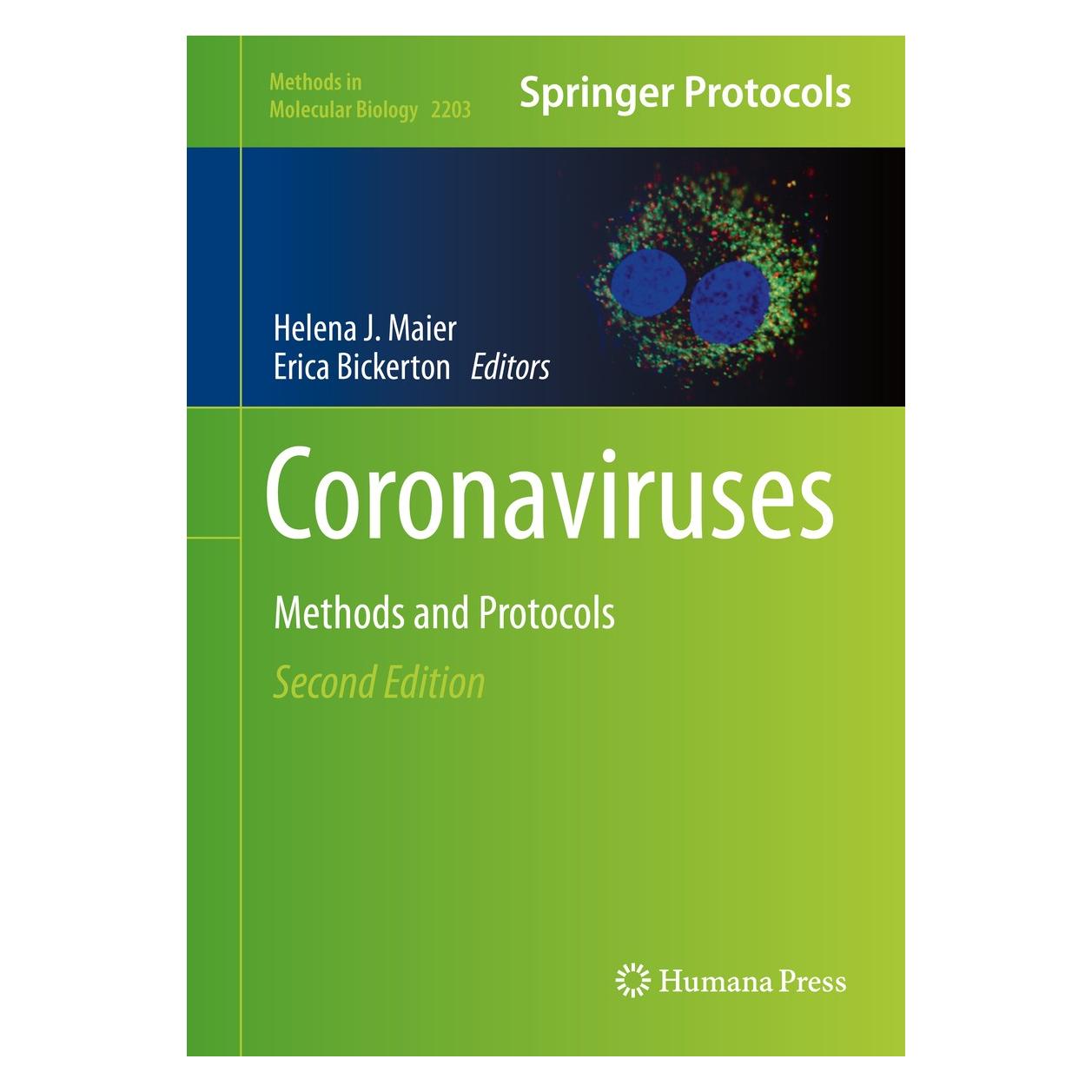 Springer Coronaviruses (Englisch, Hardcover, Erica Bickerton, Helena J. Maier) (9781071608999)