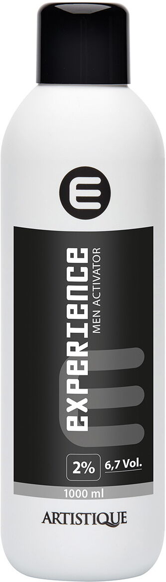 1L Artistique Experience Men Activator