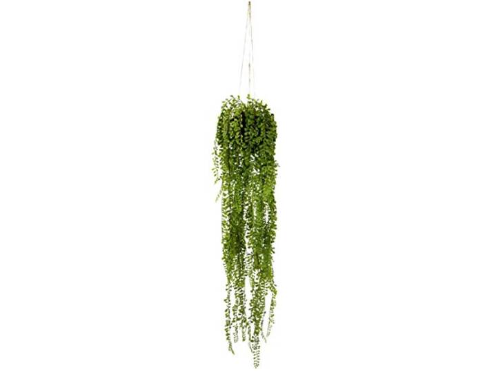 Künstlicher Senecio Hänger in Hängeampel auf Erdballen Grünpflanzen Kunstpflanze Pflanze Zimmerpflanze Seidenblumen Dekopflanze Deko Grün Erbse am Band Erbsenpflanze Perlenschnur Busch Sträucher
