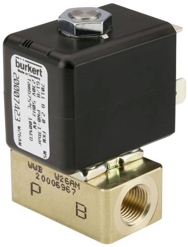 Bürkert Magnetventil 389661 7011 24V 1St.
