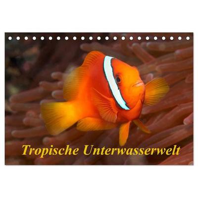 Tropische Unterwasserwelt (Tischkalender 2027 DIN A5 quer), CALVENDO Monatskalender