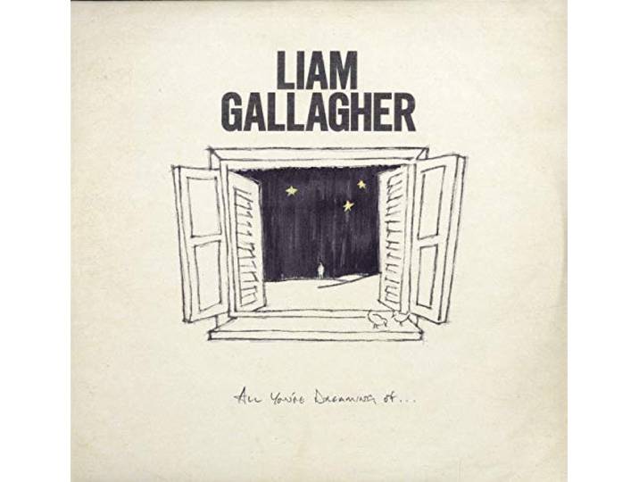 All You'Re Dreaming of [Vinyl Maxi-Single]