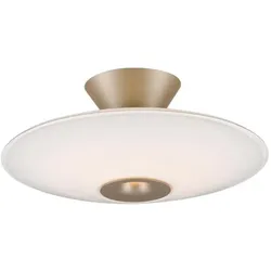 Paul Neuhaus, Deckenleuchte, LED Deckenlampe ELIPSA schwarz Wandlampe oder Deckenlampe Glasschirm Amber (1800 lm)