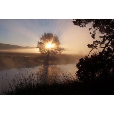Fototapete PAPERMOON "Fluss Sonnenaufgang", bunt, B:3m L:2,23m, Vlies, Tapeten