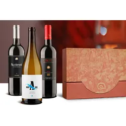 Geschenkpaket Spanien  3 spanische Weine im Geschenkkarton, Bio Probierpakete