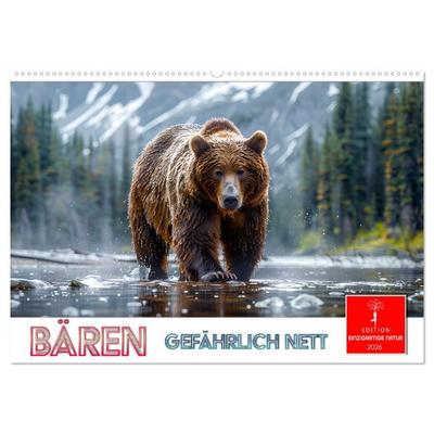Bären - gefährlich nett (Wandkalender 2026 DIN A2 quer), CALVENDO Monatskalender