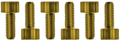 Floyd Rose Saddle Mounting Screws Gold