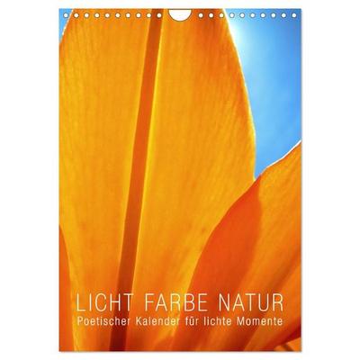 Licht Farbe Natur (Wandkalender 2027 DIN A4 hoch), CALVENDO Monatskalender