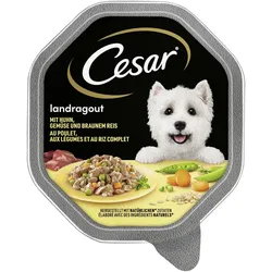 Cesar EdC Huhnstückchen & Reis & Gemüse 14x150 g