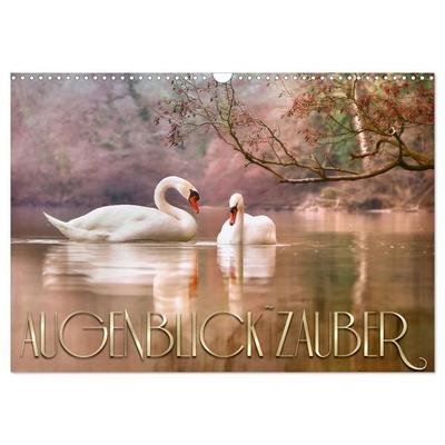 AUGENBLICK ZAUBER (Wandkalender 2027 DIN A3 quer), CALVENDO Monatskalender