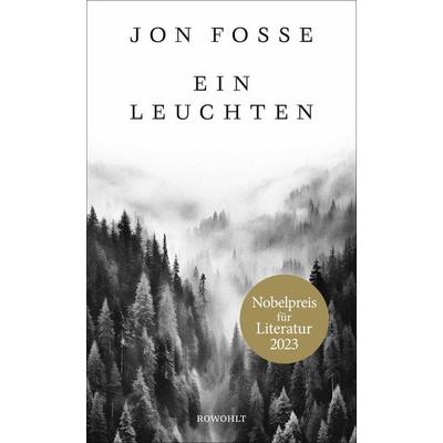 Ein Leuchten, Gebundene Ausgabe von Jon Fosse, Rowohlt, 978-3-498-00399-9
