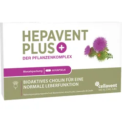 Hepavent Plus Leber Cholin Mariendis Artisch 60 ST