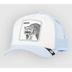Goorin Bros Rascal Raccoon Mini Cap air Gr. Uni