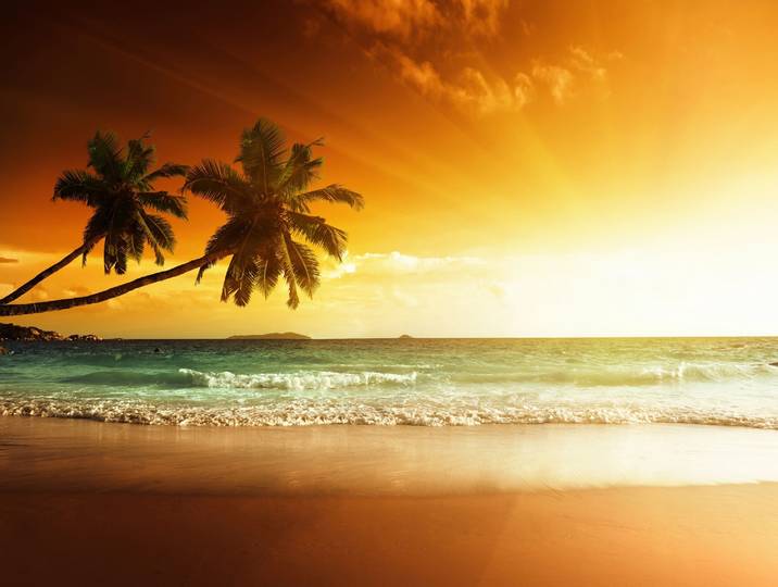 Fototapete PAPERMOON SÜDSEE ABENDSONNE PALMEN , bunt, B:1,5m L:1,11m, Vlies, Tapeten, Fototapete