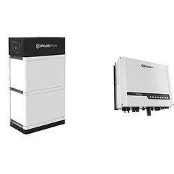 GoodWe '48V FORCE-L2 7.10 + GW5048D '(0% MwSt §12 III UstG)