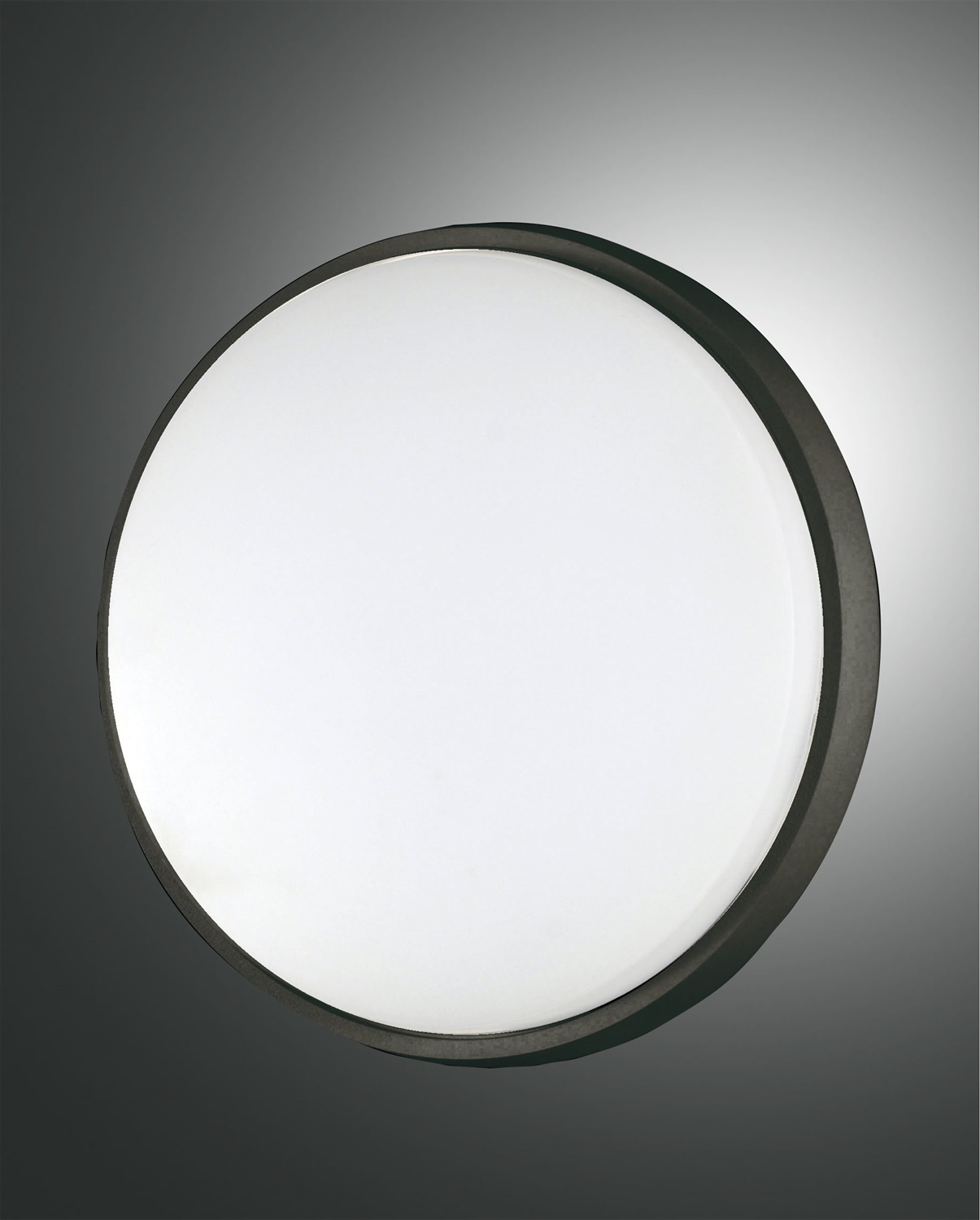 Fabas Luce LED-Wand-/Deckenleuchte OLLY 30cm schwarz 3315-65-101 8019282094401
