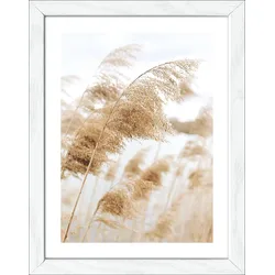 Gerahmtes Bild COAST III (BHT 19x24x1,80 cm) - bunt - BHT 19x24x1,80 cm