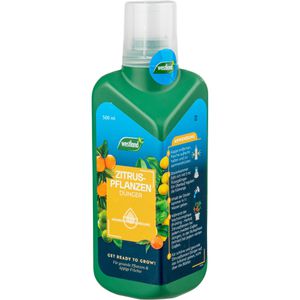 Westland Dünger Zitruspflanzen, Flüssigdünger, 500 ml