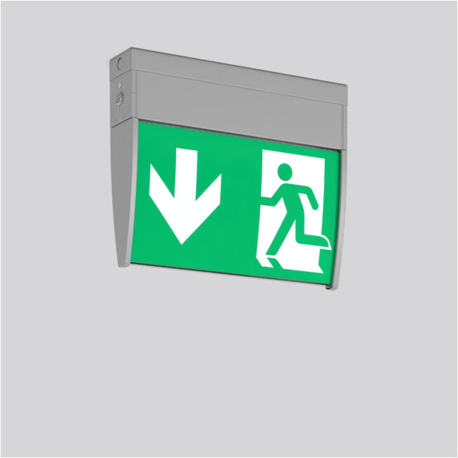 RZB Lampe LED de signalisation de secours 652219.004 argent (652219.004)
