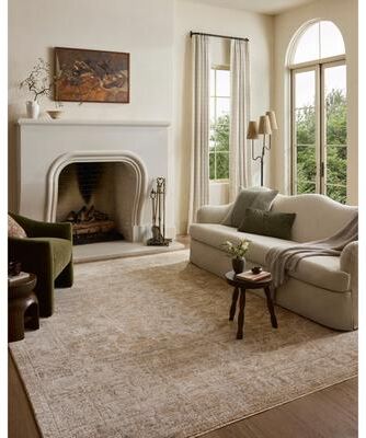 Alexander Home Clarice Traditional Area Rug