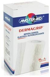 Pietrasanta Pharma Benda Master Aid Dermacm10x20m