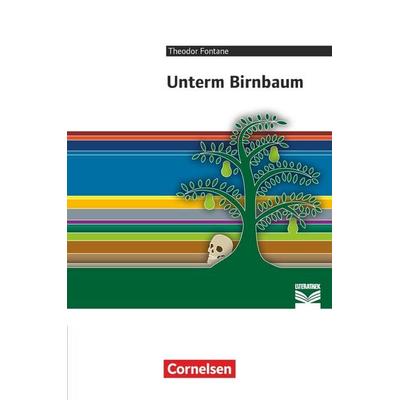 Cornelsen Literathek - Textausgaben, Taschenbuch von Theodor Fontane,Daniela A. Frickel, Cornelsen Verlag, 978-3-06-211017-7