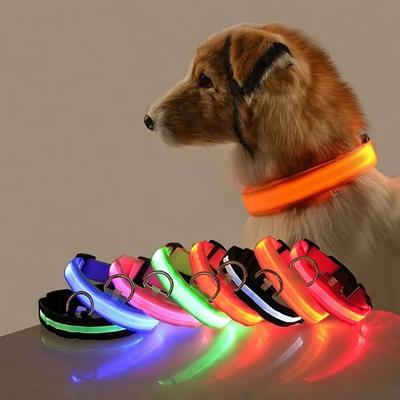 Uplifted Finds Nylon LED Night Safety Glow Dog Leash And Collar xl orange
