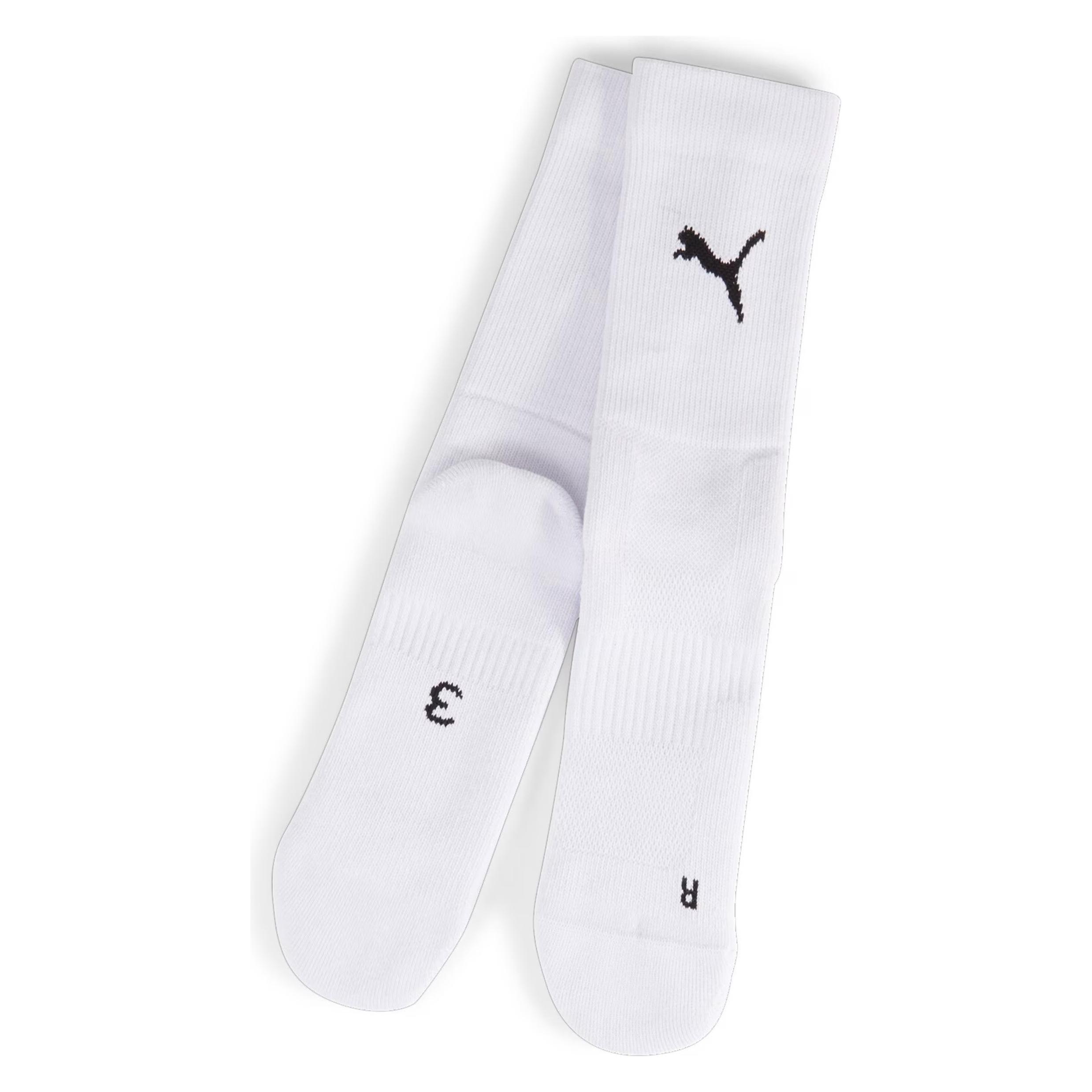 Puma teamGOAL Performance Sock (M) (706119_04)