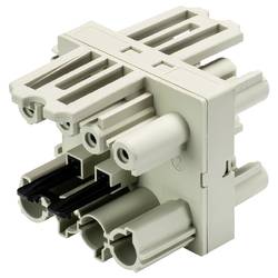 Wieland Electric 92.040.7053.0 Verteiler