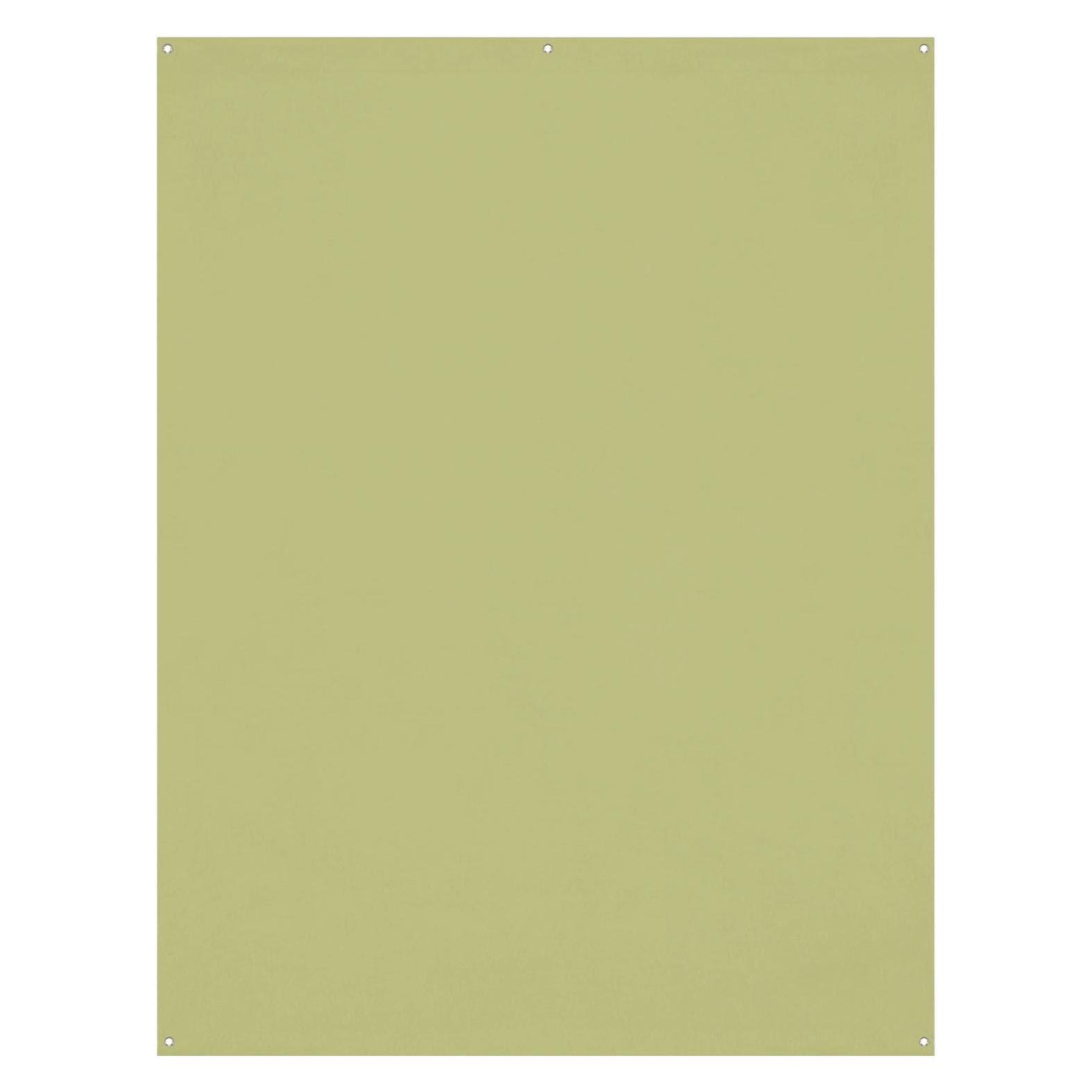 Westcott X Drop Wrinkle Resistant Backdrop Light Moss Green (1.5 x 2.1 m) (150 cm, 210 cm) (25134339)