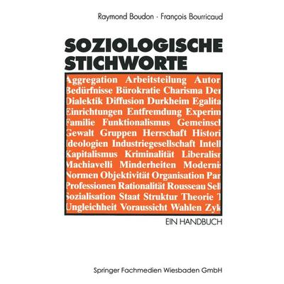 Soziologische Stichworte, Taschenbuch von François Bourricaud, VS Verlag für Sozialwissenschaften, 978-3-531-11675-4