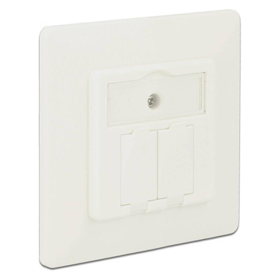 Delock Keystone Wall Outlet (86219)