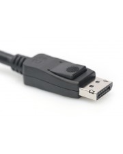 Assmann DisplayPort connection cable. DP M/M. 2.0m Kabel Digital/Display/Video 2 m (AK-340106-020-S)