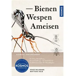 Bienen, Wespen, Ameisen, Ratgeber von Matthias Helb, Heiko Bellmann