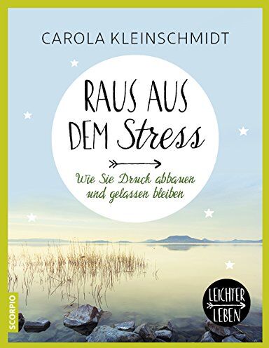 Carola Kleinschmidt - Raus aus dem Stress. Wie Sie Druck abbauen und gelassen bleiben (Leichter leben) - Preis vom 14.10.2026 23:07:16 h