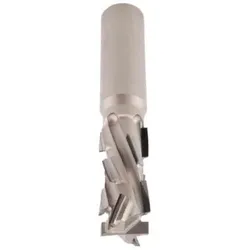 Aigner Werkzeuge DP-Nutschaftfräser "ECO" D20 x NL28 RL Schrumpffutter | C436