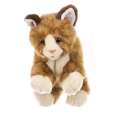 braune Katze