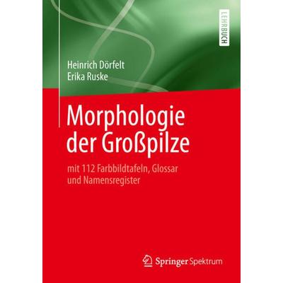 Morphologie der Großpilze, Taschenbuch von Heinrich Dörfelt,Erika Ruske, Springer Berlin, 978-3-642-41780-1