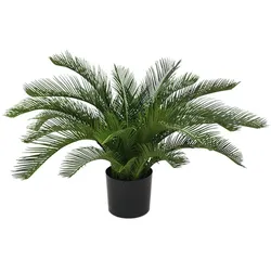 Designplants Cycas-Palme Kunstpflanze (h: 60 cm)