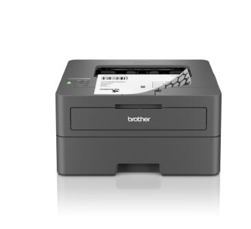Brother HL-L2445DW Laserdrucker s/w HLL2445DWRE1