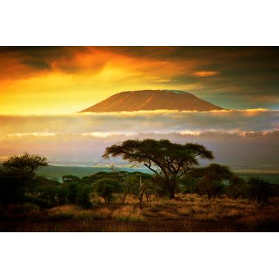Fototapete PAPERMOON "Mount Kilimanjaro and Clouds", bunt, B:4m L:2,6m, Vlies, Tapeten