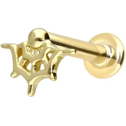 14 Karat Gold Labret mit Innengewinde SPINNENNETZ