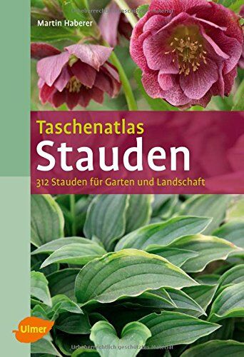 Martin Haberer - Taschenatlas Stauden: 312 Stauden für Garten und Landschaft (Taschenatlanten) - Preis vom 09.10.2026 07:28:09 h