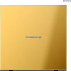 Jung Wippe Lichtleiter go für Schalter/Taster GO 2990 KO5