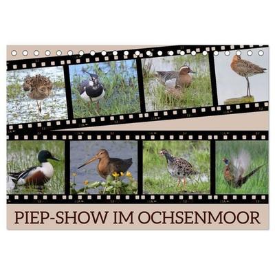 PIEP-SHOW im Ochsenmoor (Tischkalender 2027 DIN A5 quer), CALVENDO Monatskalender